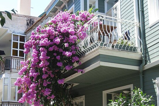 Tour image 12
